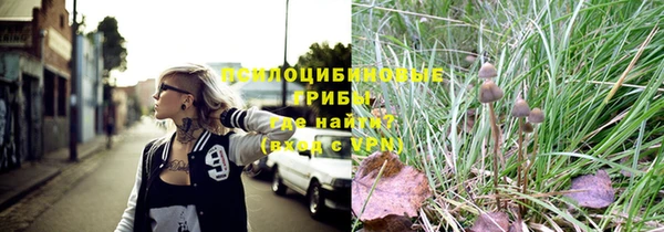 гидра Балахна